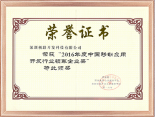 国家软件公共平台2016年中国移动应用开发行业领军企业奖
